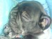 DSC01475.JPG