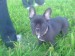 DSC01680.JPG